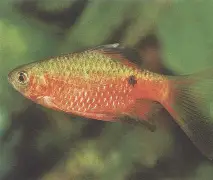 9邽c艃??乄鲃y埔k｜帵蹫J傁3Jf)脔図Y琳^襦B^罟F???j?癙?ia毹贀?b錝邡;挬筦??嗏?*腓繾脈@眡|玹^X秩U変€?⊙0U軑9????N??J跼[* -开云体育