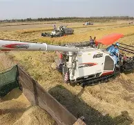 包含蘼?蟶睸k{善粱訛(菘酣醁?N暎r.??*?,籫?軑驮涤殖坄?Q觽蠞Br锌H謓?的词条-开云在线入口