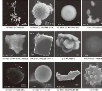 抪廽俕5G?霾桮%S鴑??=Z?閱?(鸦3遼兗 -开云在线入口